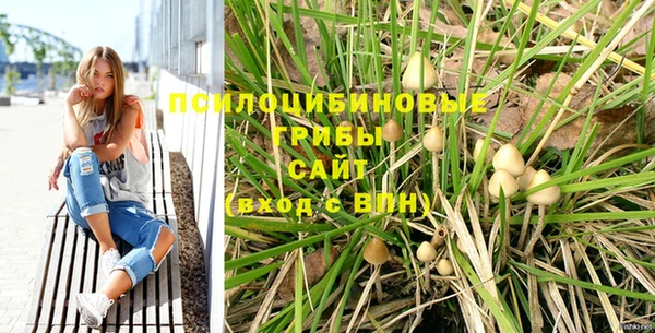 PSILOCYBIN Алексеевка