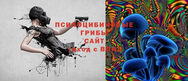 эйфоретик Алексин
