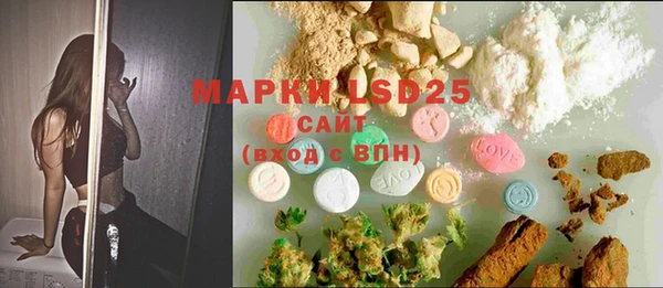 PSILOCYBIN Алексеевка